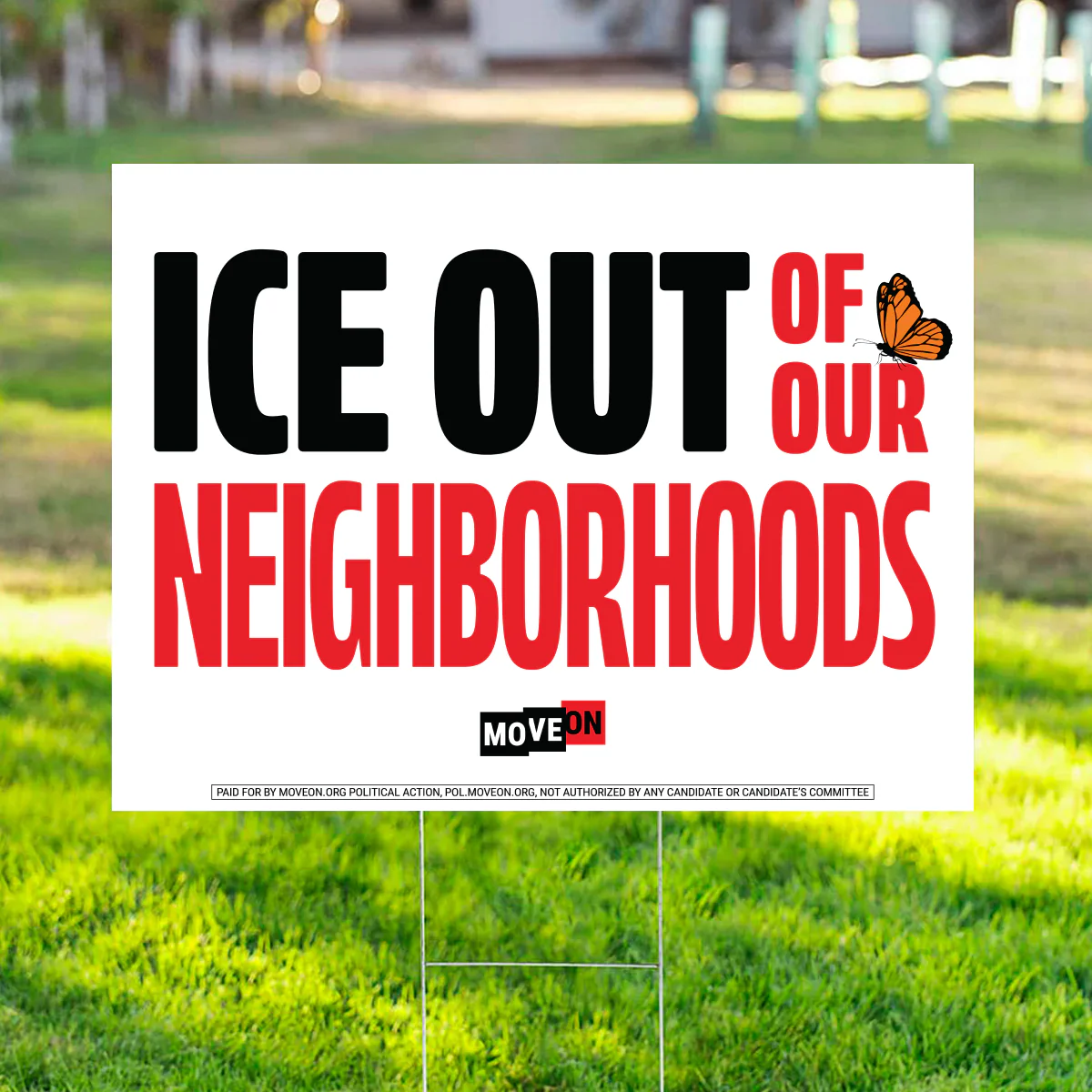 Immigration Solidarity